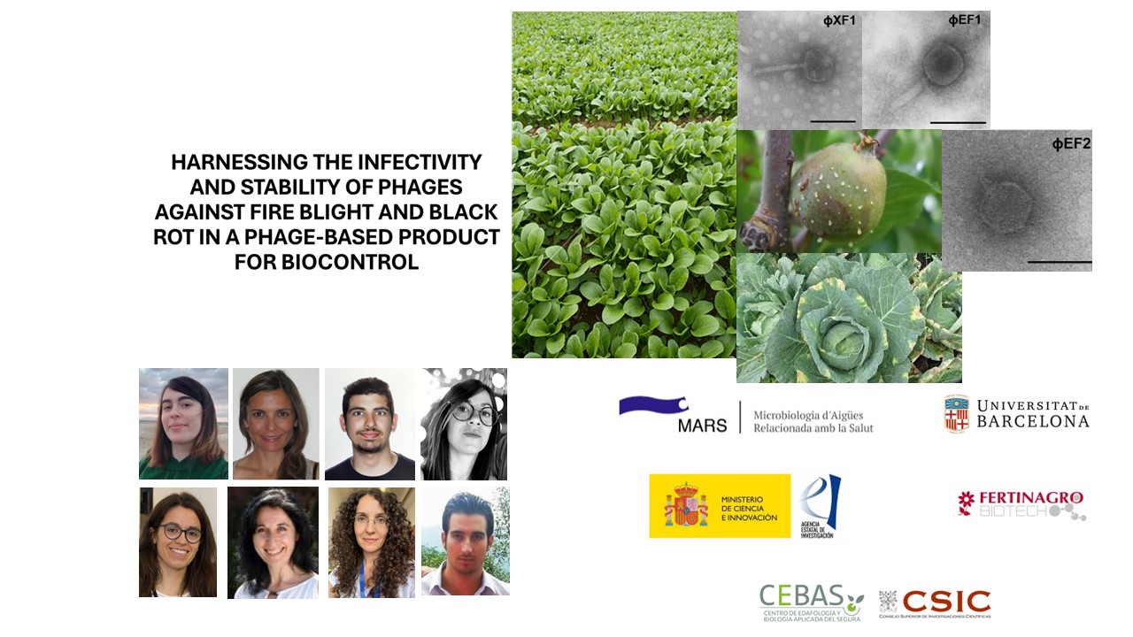 TECNOLOGÍA FÁGICA COMO INHIBIDOR DE LA NITRIFICACIÓN. SU INFLUENCIA EN LA CALIDAD Y SALUD DE LOS SUELOS