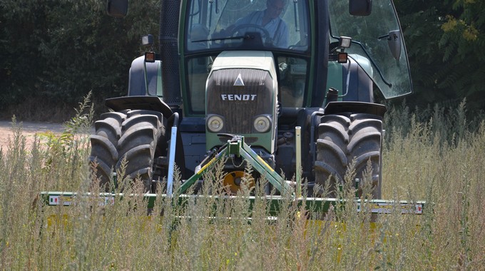 El director del Máster de Agricultura Ecológica de la UB analiza la investigación e innovación en agricultura ecológica en España para la revista Ae