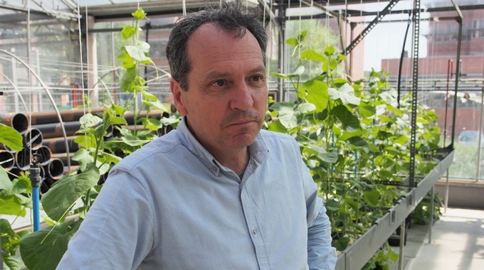 Entrevista a F. Xavier Sans, Director del Máster de Agricultura Ecológica, en el último número de la revista Agrocultura