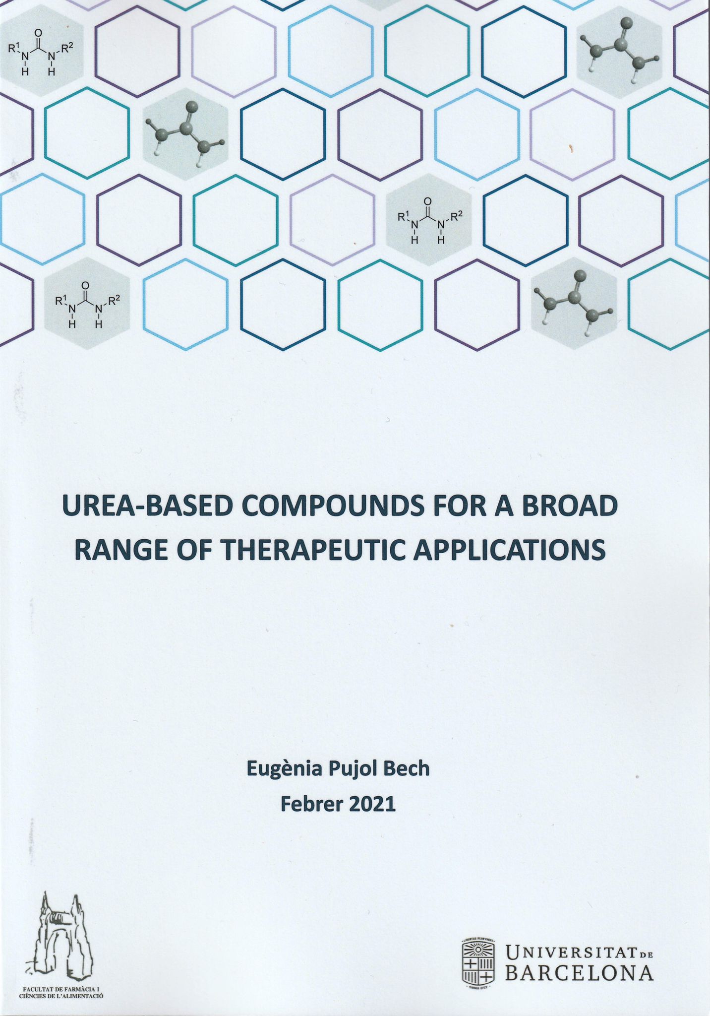 Santiago pujol dissertation 05 picture