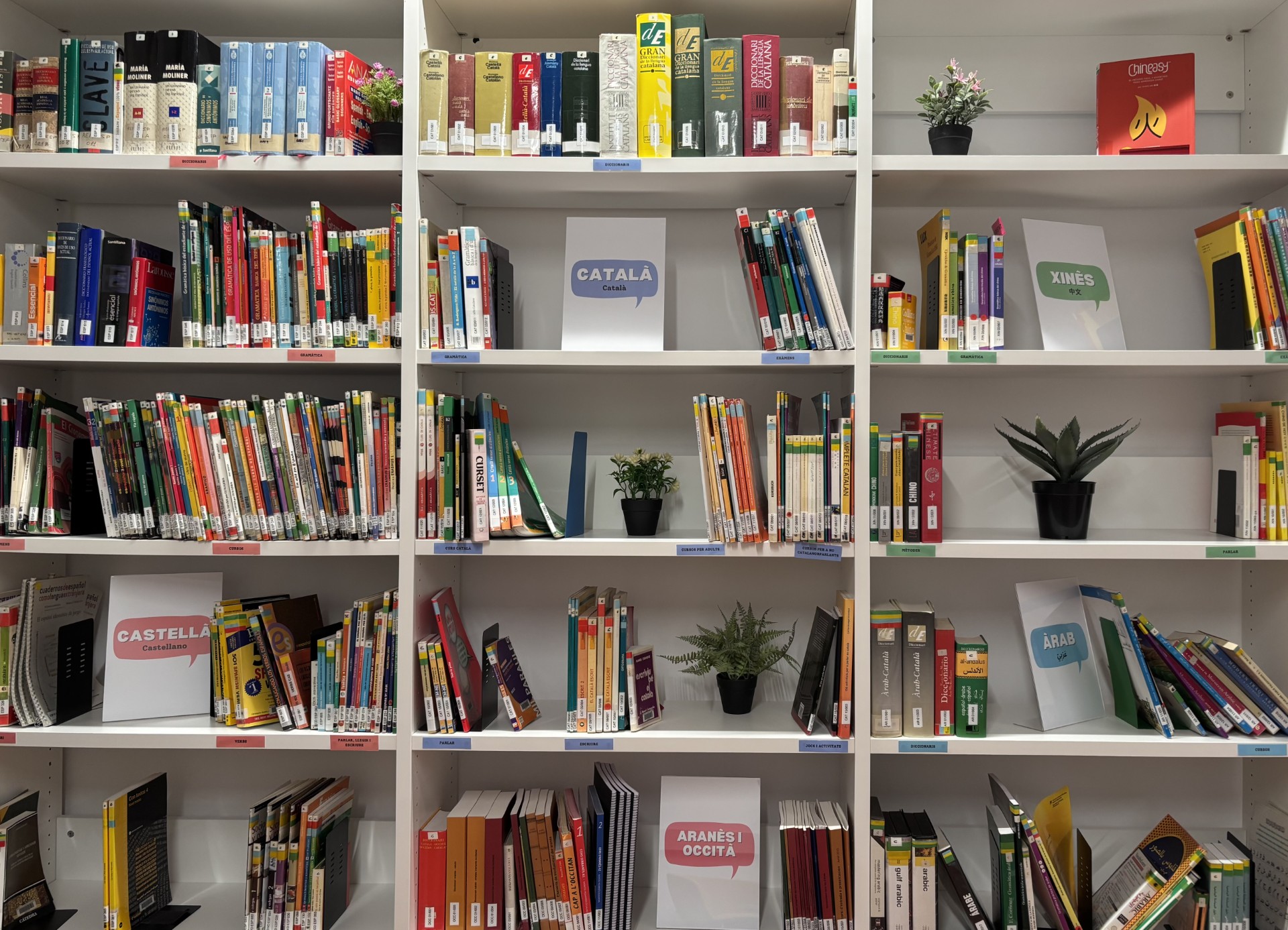 89411968-8fb1-4ded-892a-7f8b2483decd