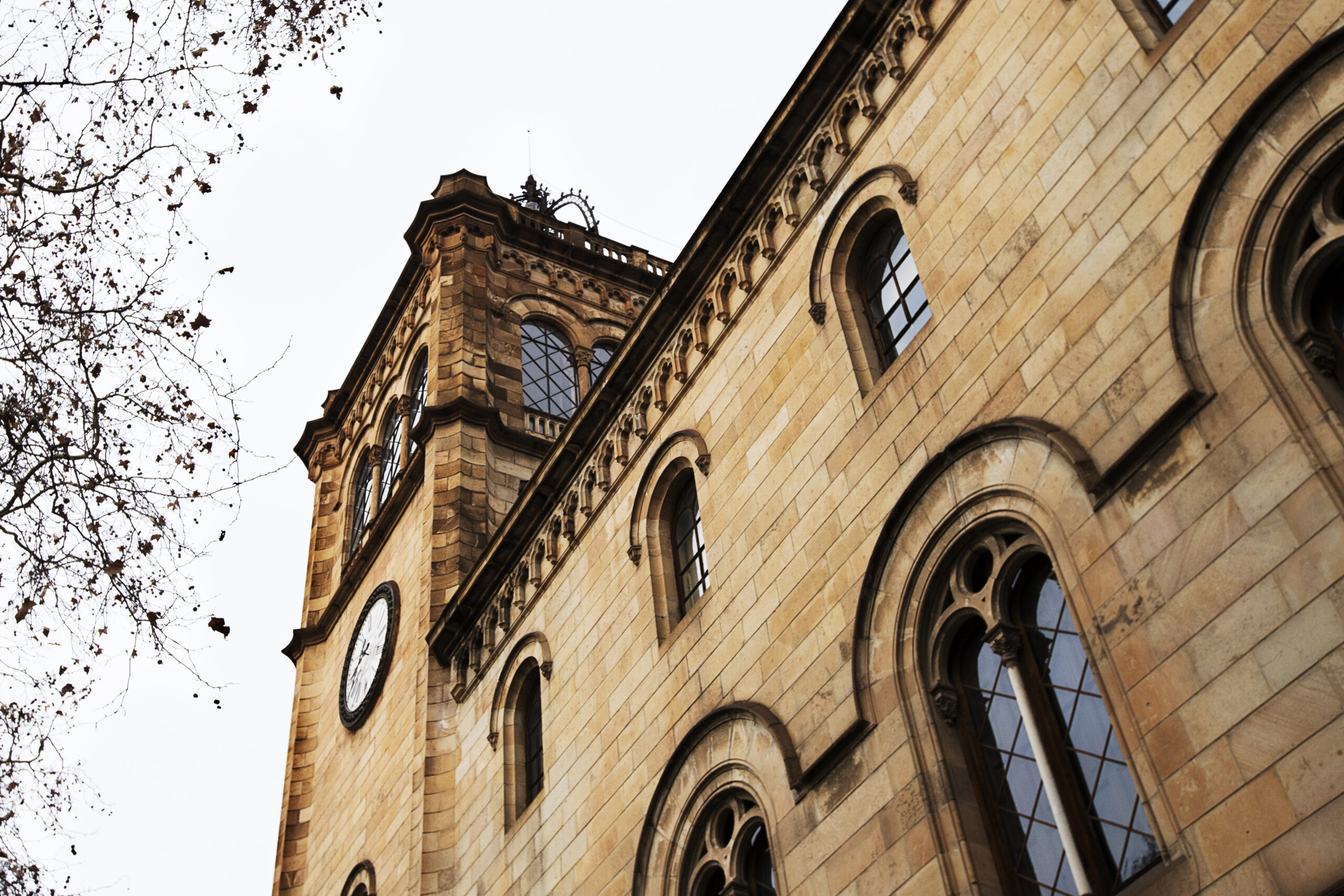 Omnia Nomina, el portal multilingüe de nomenclatura de la UB