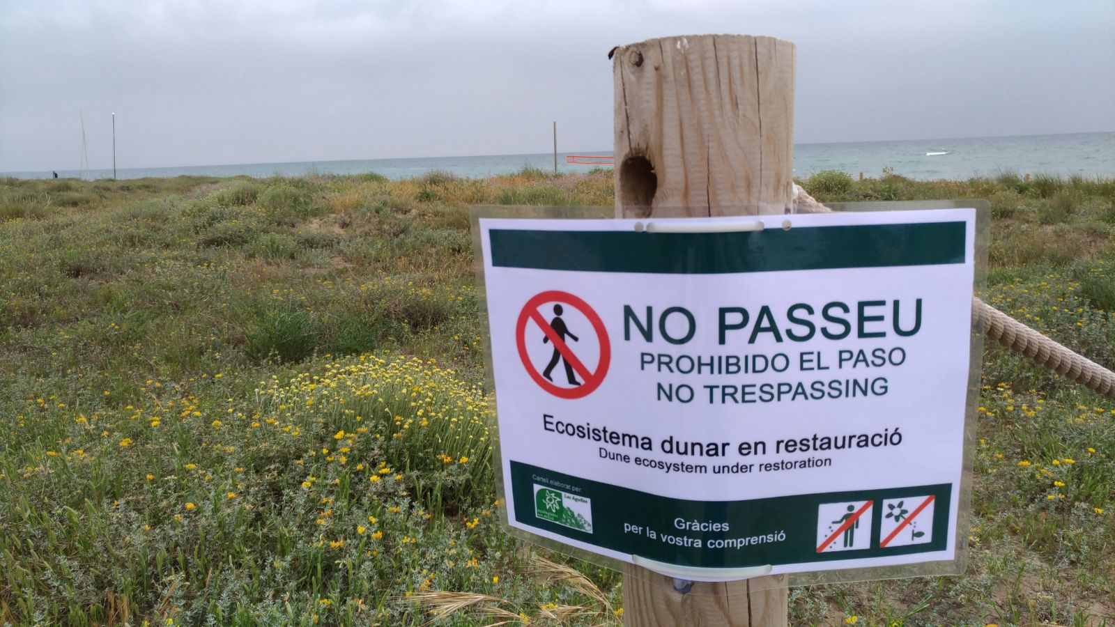 Senyalització de les dunes litorals de Gavà, on prohibeixen el pas