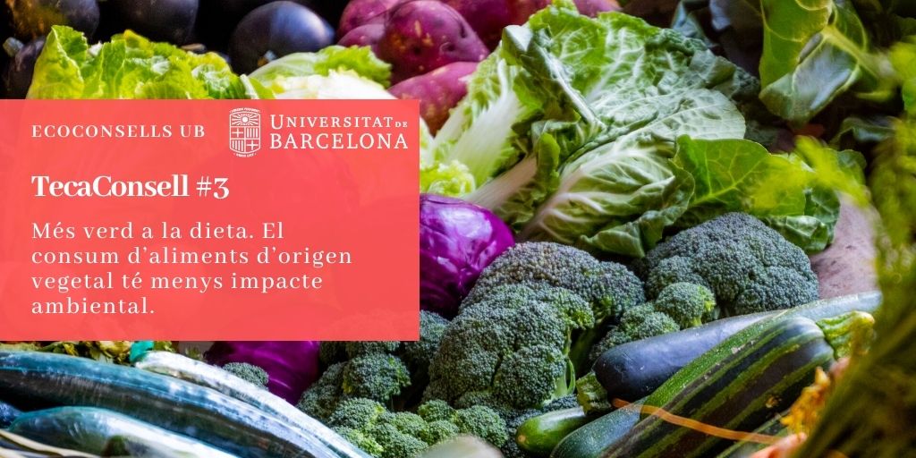 Més verd a la dieta. El consum d’aliments d’origen vegetal té menys impacte ambiental