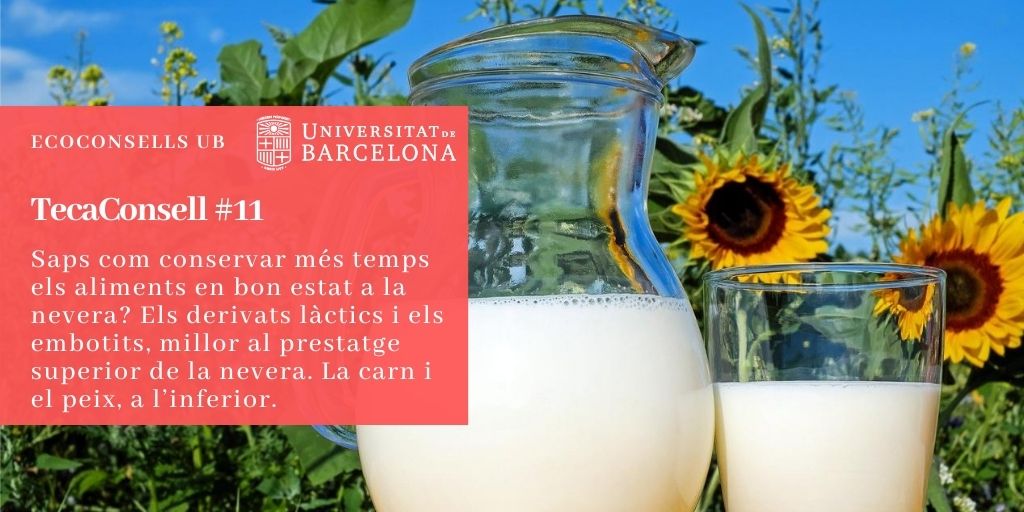 Saps com conservar més temps els aliments en bon estat a la nevera? Els derivats làctics i els embotits, millor al prestatge superior de la nevera. La carn i el peix, a l’inferior