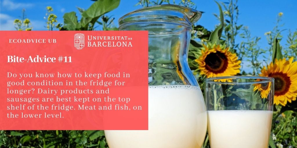 Do you know how to keep food in good condition in the fridge for longer? Dairy products and sausages are best kept on the top shelf of the fridge. Meat and fish, on the lower level.