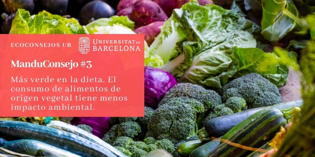 Más verde en la dieta. El consumo de alimentos de origen vegetal tiene menos impacto ambiental.