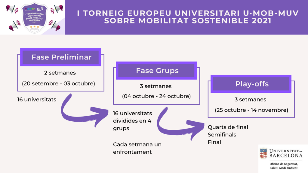 Torneig UMOB-MUV: fases competició