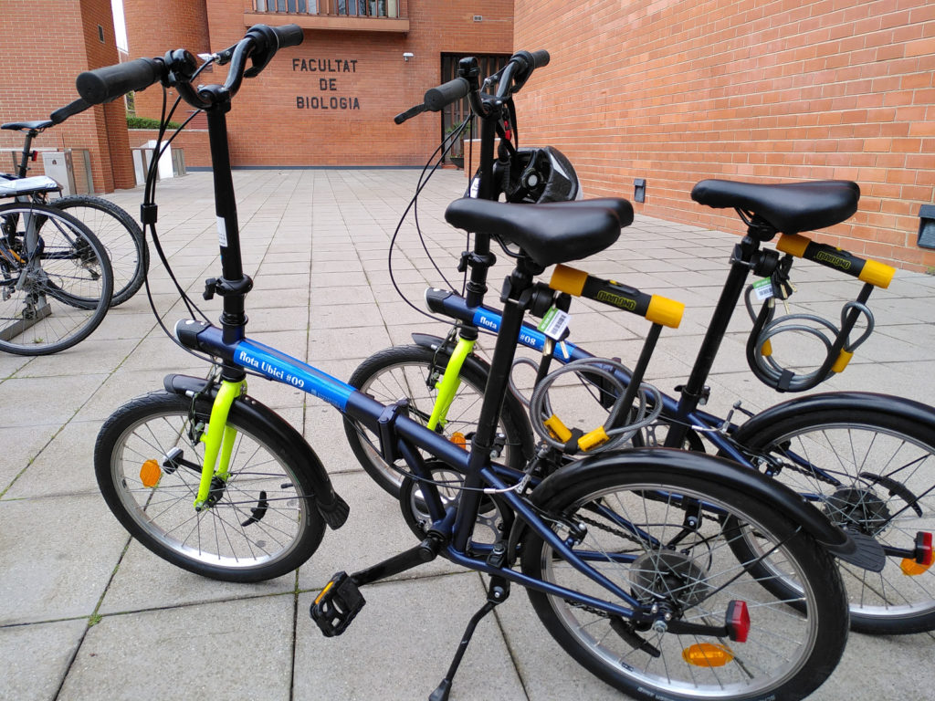 Bicicletes de la flota UBici a la Facultat de Biologia