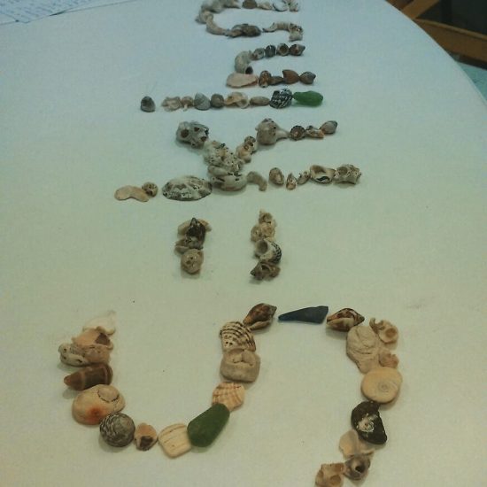 IMG_20171130_100203_470