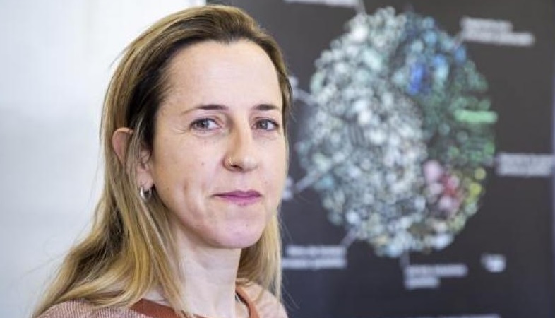 La professora Anna Sanchez-Vidal és una de les finalistes de la nova edició del premi Vanguardia de la Ciència.