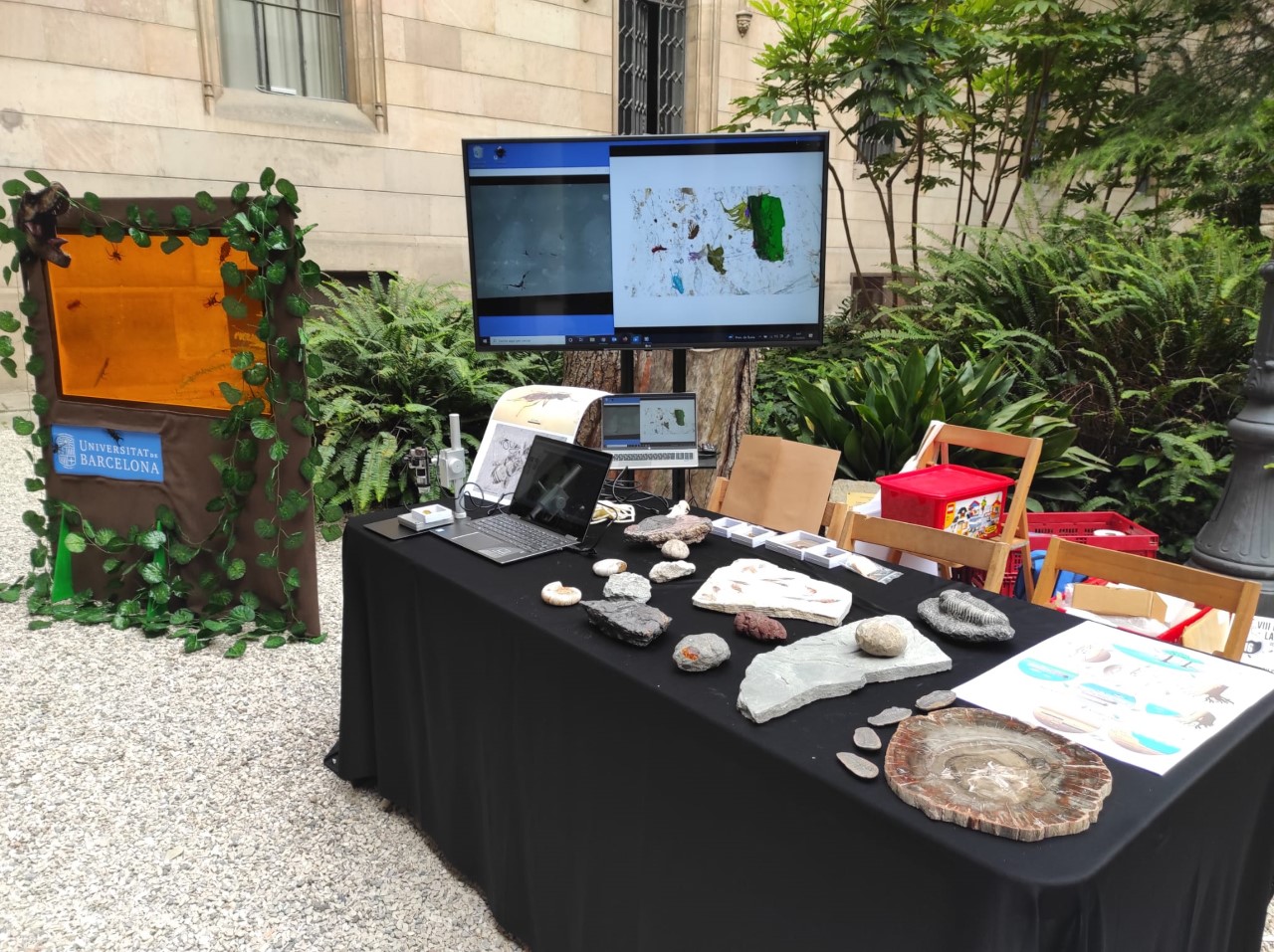 Vista de l'estand de paleoentomologia a la Festa de la Ciència
