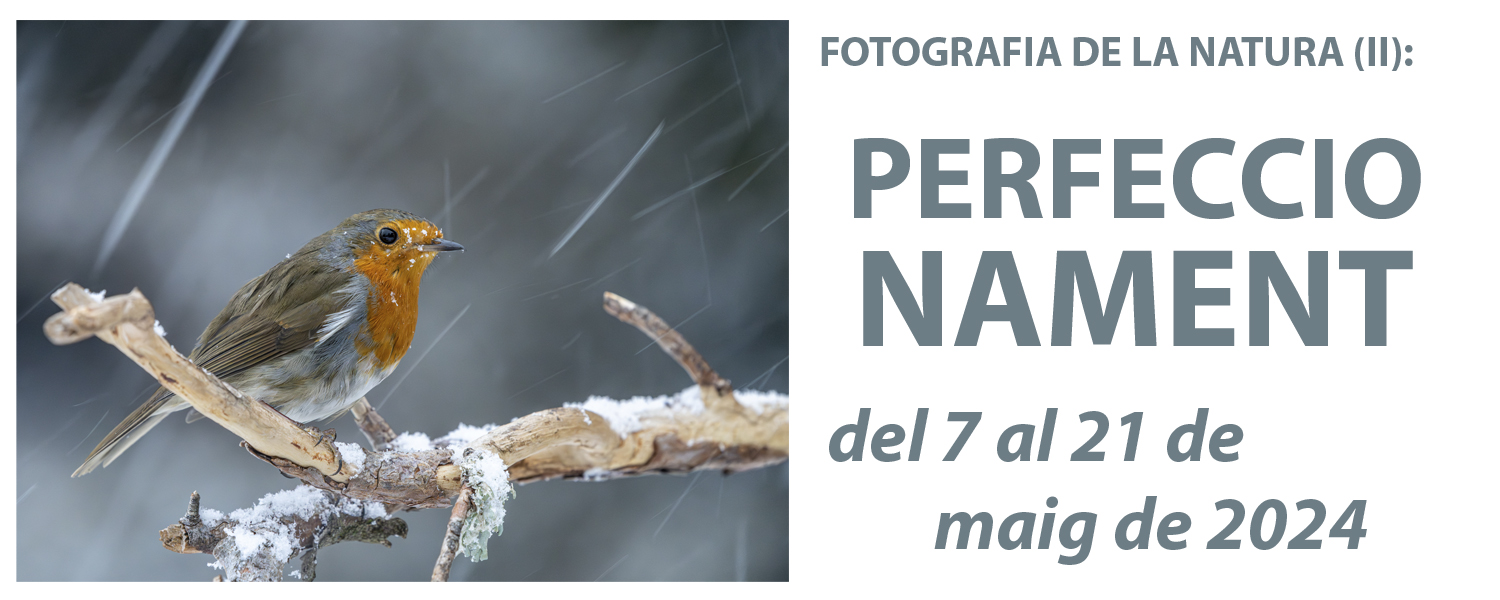 Curs de Fotografia de la Natura (II): Perfeccionament - maig de 2024