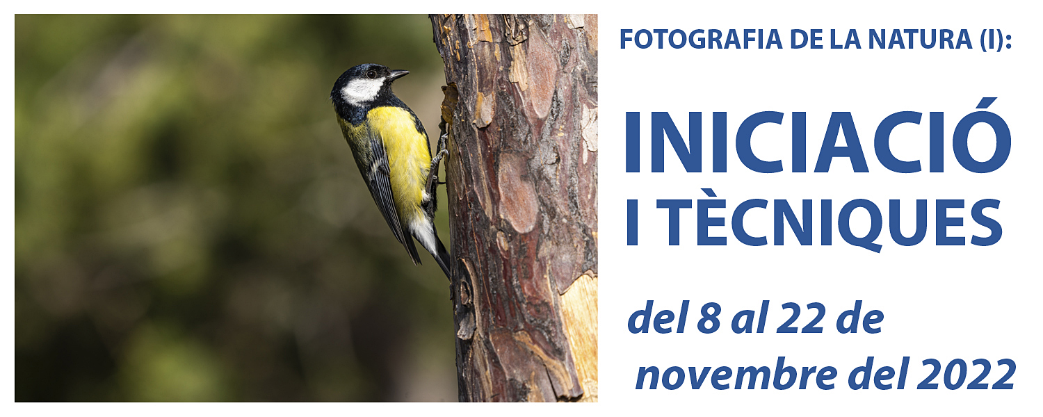 Curs de Fotografia de la Natura (I): Iniciació - novembre de 2022