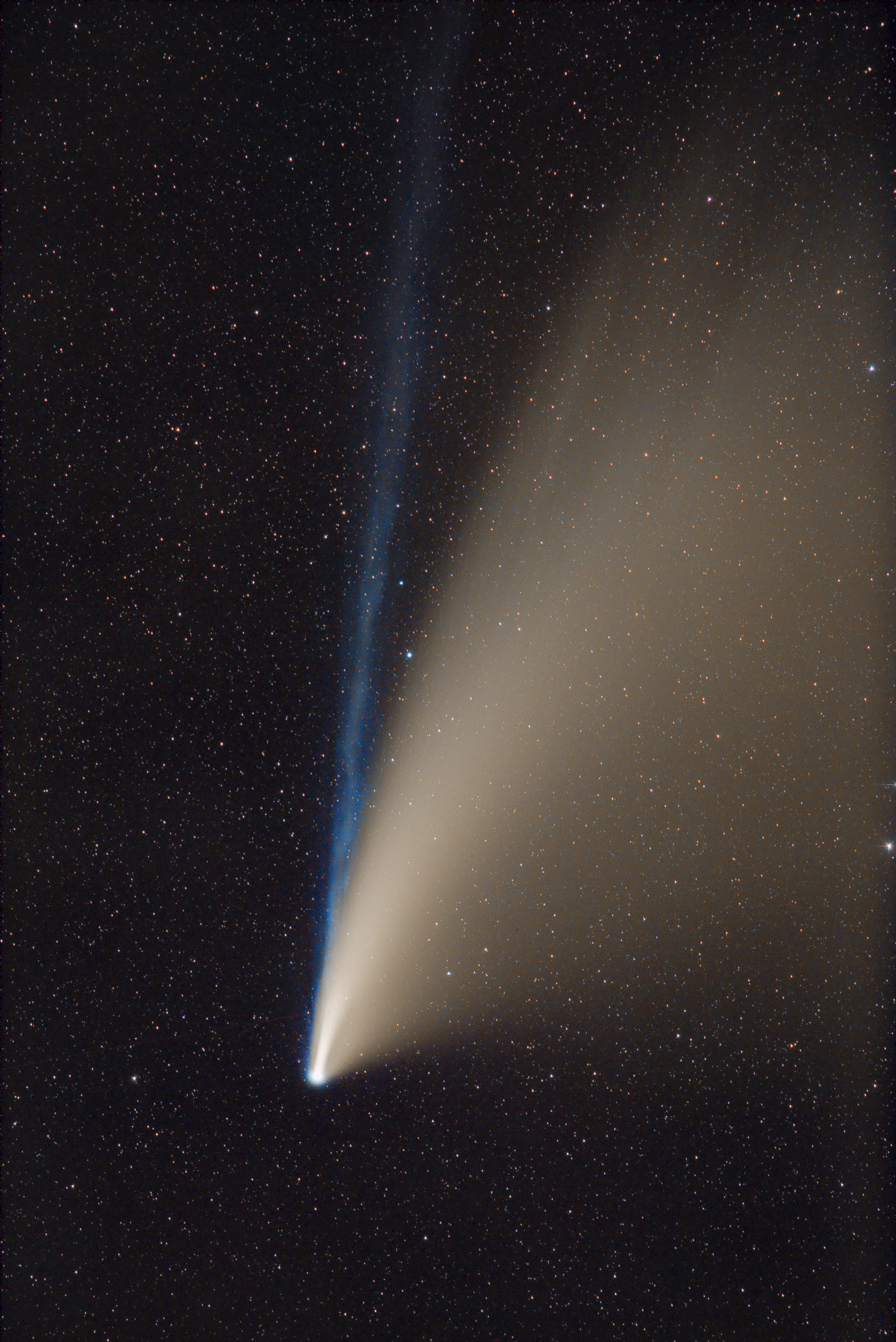 fotoNAT-UB 2020 - 1r PREMI DE NATURA: Cometa Neowise (Xavier Palau)