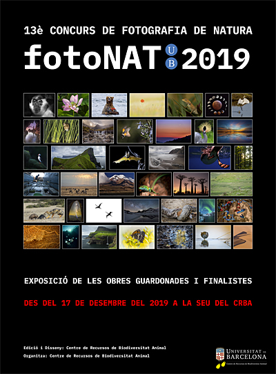 fotoNAT-UB 2019