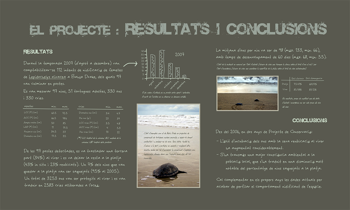 Plafó 7 de l'exposició "Projecte de conservació de tortuga lora a Bahía Drake (Costa Rica)" amb fotografies d'Irene Sicilia (Resultats i Conclusions)