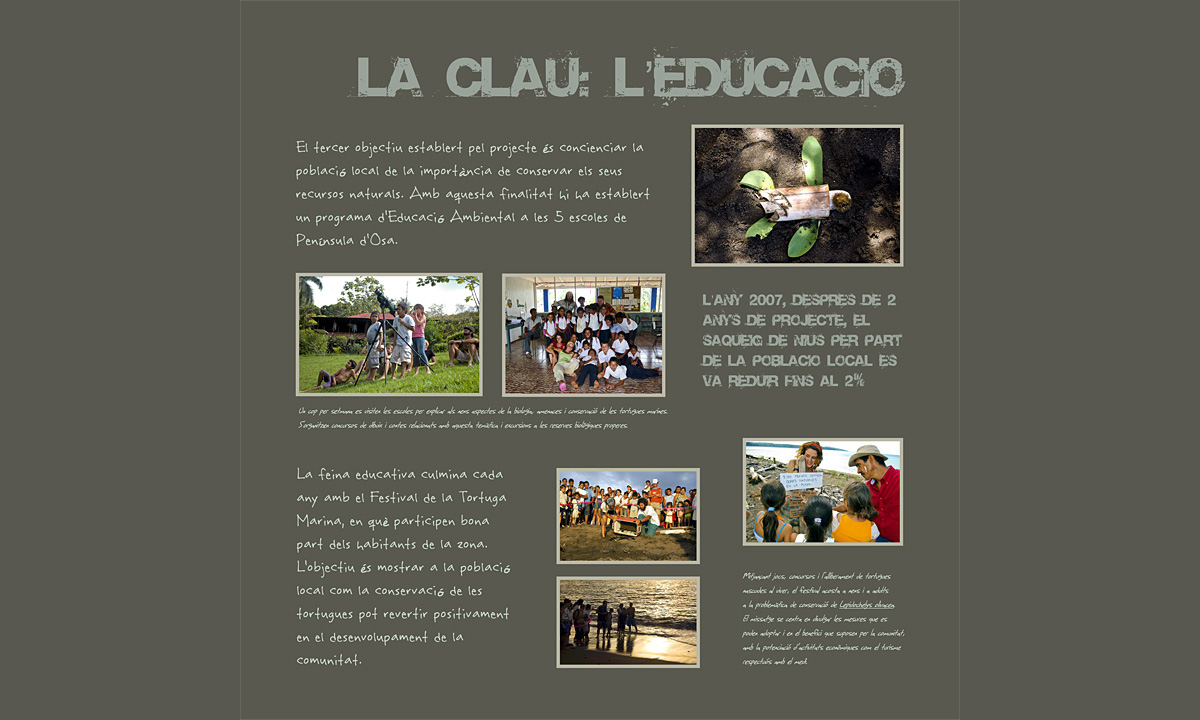 Plafó 8 de l'exposició "Projecte de conservació de tortuga lora a Bahía Drake (Costa Rica)" amb fotografies d'Irene Sicilia (Educació)