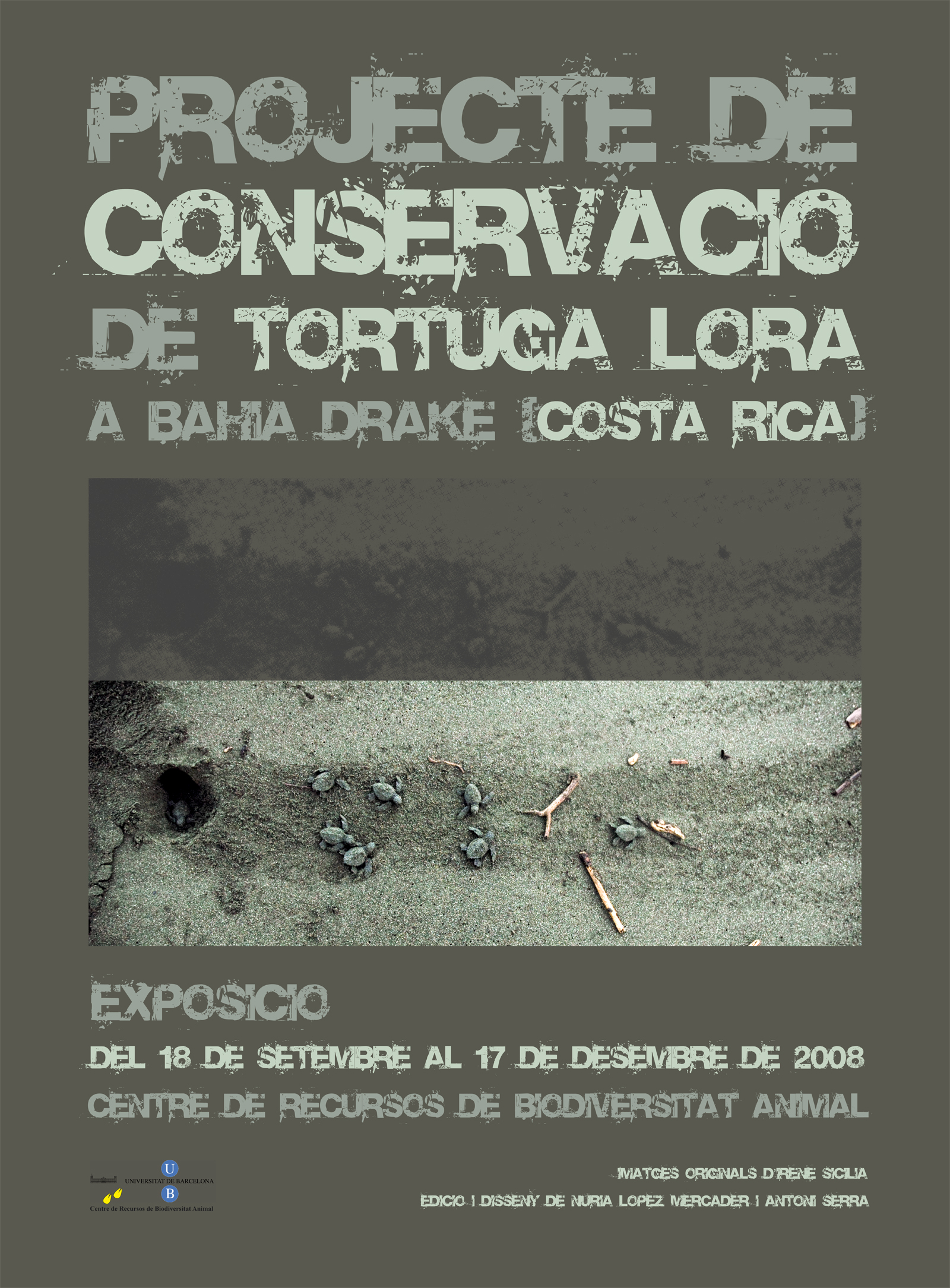 Cartell de l'exposició "Projecte de Conservació de Tortuga Lora a Bahía Drake (Costa Rica)", amb fotografies d'Irene Sicilia