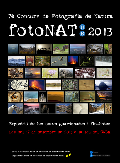 fotoNAT 2013