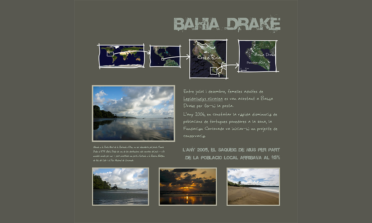 Plafó 4 de l'exposició "Projecte de conservació de tortuga lora a Bahía Drake (Costa Rica)" amb fotografies d'Irene Sicilia (Bahía Drake)