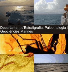 Departament d'Estratigrafia, Paleontologia i Geociències Marines