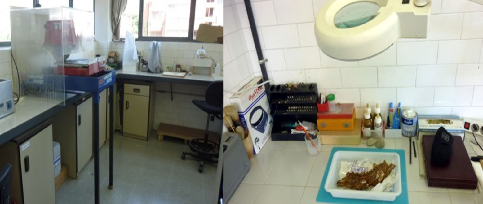 Laboratori de Paleontologia