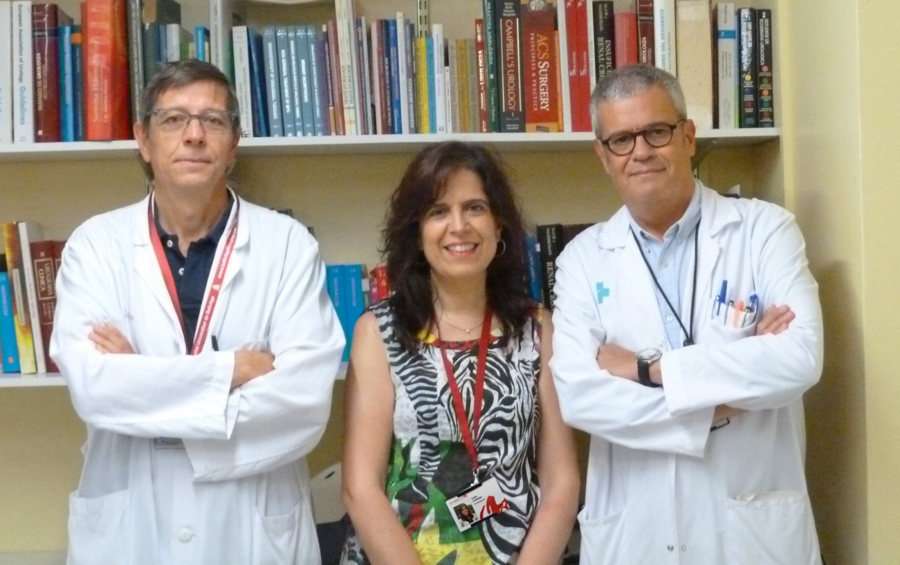 Dr Francesc Vigués (HUB), Dr Sara Larriba (IDIBELL), Dr Manel Castells (HUB)