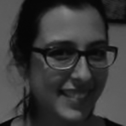 Professorat de la Secció de Didàctica de les Ciències Socials