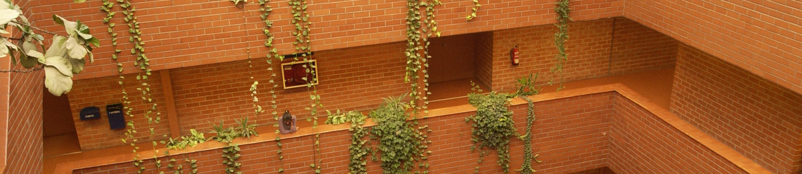 interior de la facultad