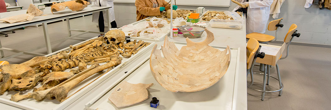 Archaeology lab