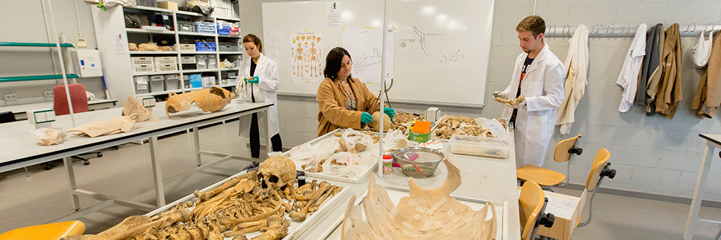 ub raval archeology lab