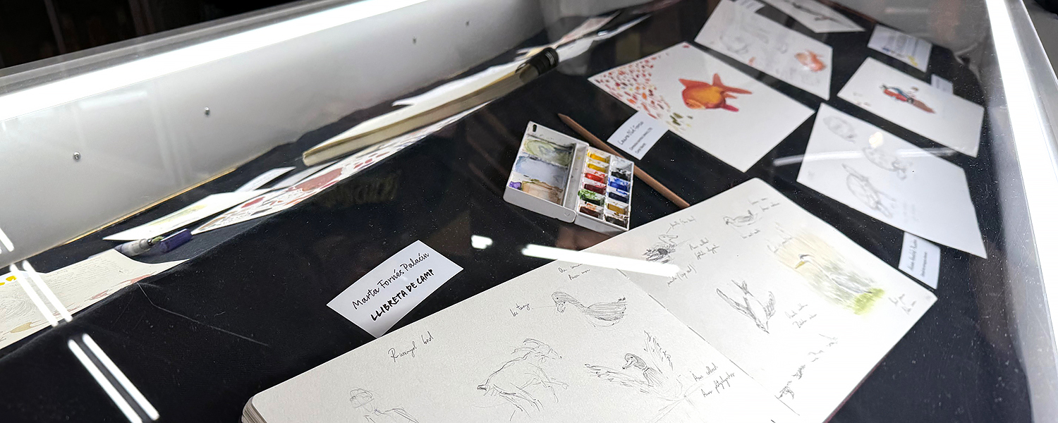 Exposició: Treballs del Curs d'Il·lustració Científica - Aus, Rèptils, Amfibis i Peixos (març 2025)