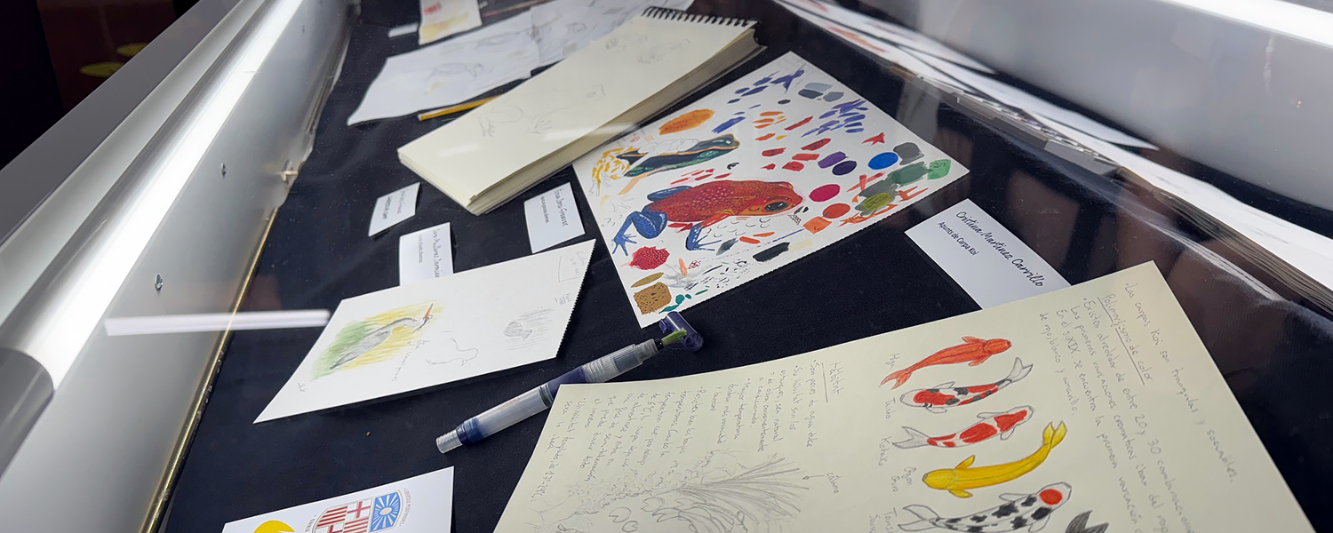Exposició: Treballs del Curs d'Il·lustració Científica - Aus, Rèptils, Amfibis i Peixos (març 2025)
