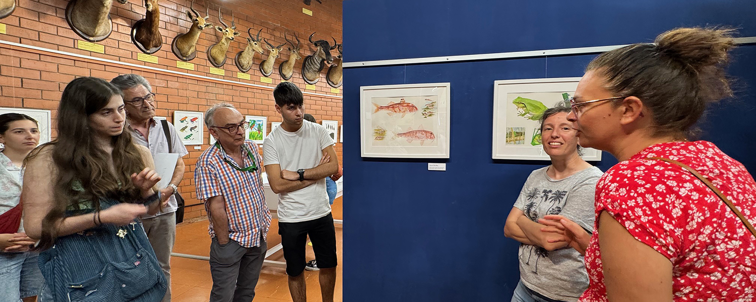Exposició: Treballs del Curs d'Il·lustració Científica - Aus, Rèptils, Amfibis i Peixos (març 2025)