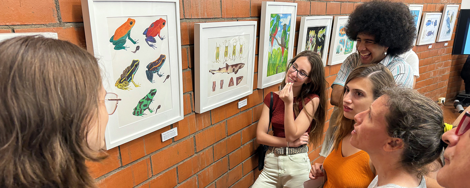 Exposició: Treballs del Curs d'Il·lustració Científica - Aus, Rèptils, Amfibis i Peixos (març 2025)