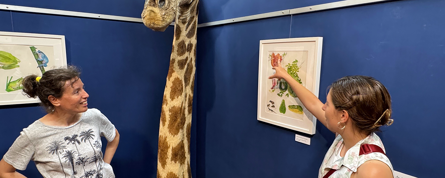 Exposició: Treballs del Curs d'Il·lustració Científica - Aus, Rèptils, Amfibis i Peixos (març 2025)