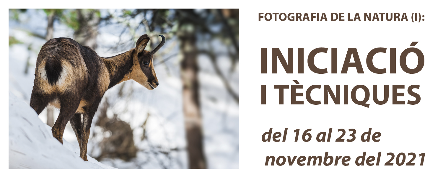 Curs de Fotografia de la Natura (I): Iniciació - novembre de 2021