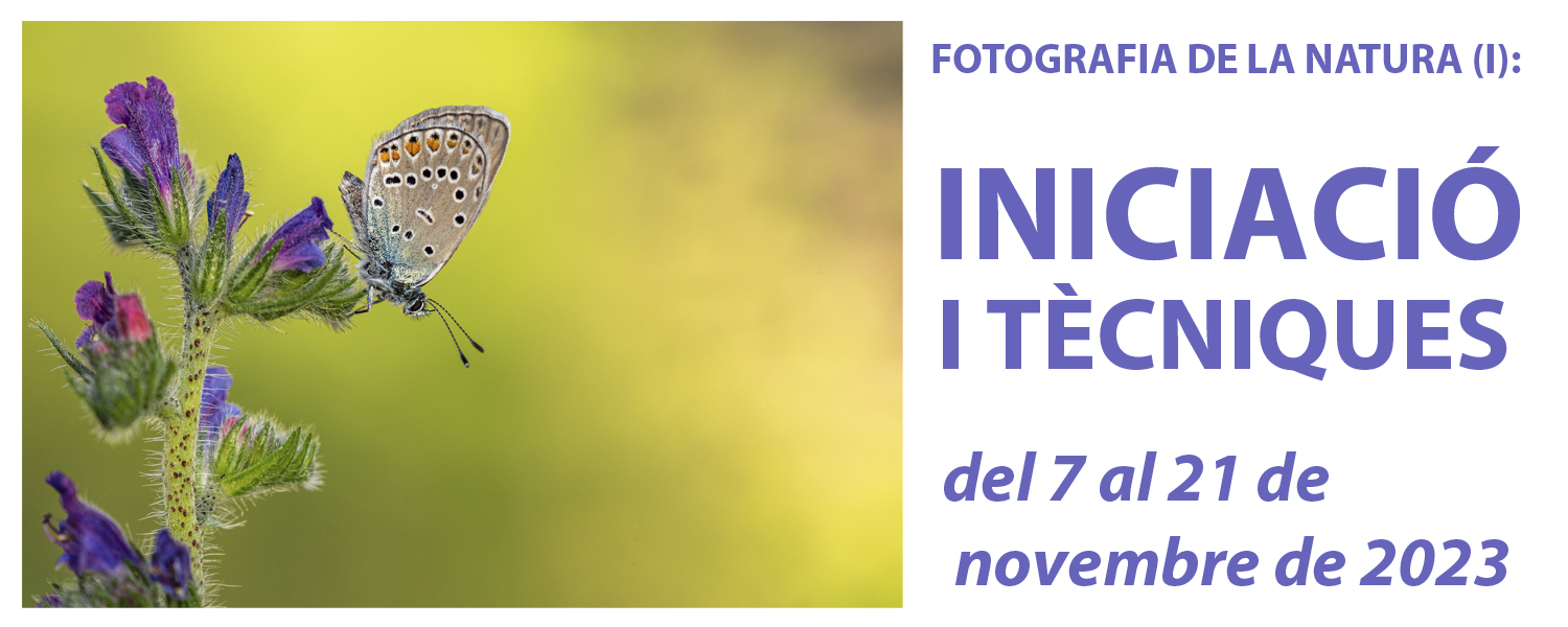 Curs de Fotografia de la Natura (I): Iniciació - novembre de 2023