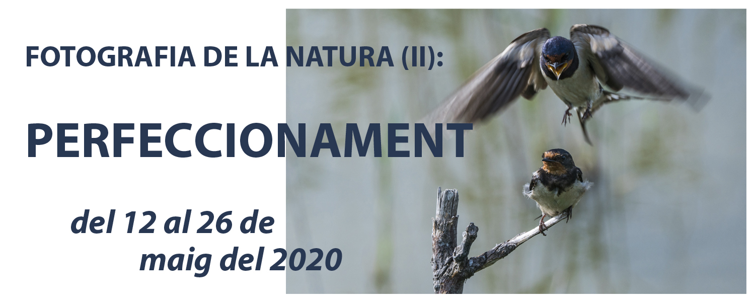 Curs de Fotografia de la Natura (II): Perfeccionament - maig de 2021