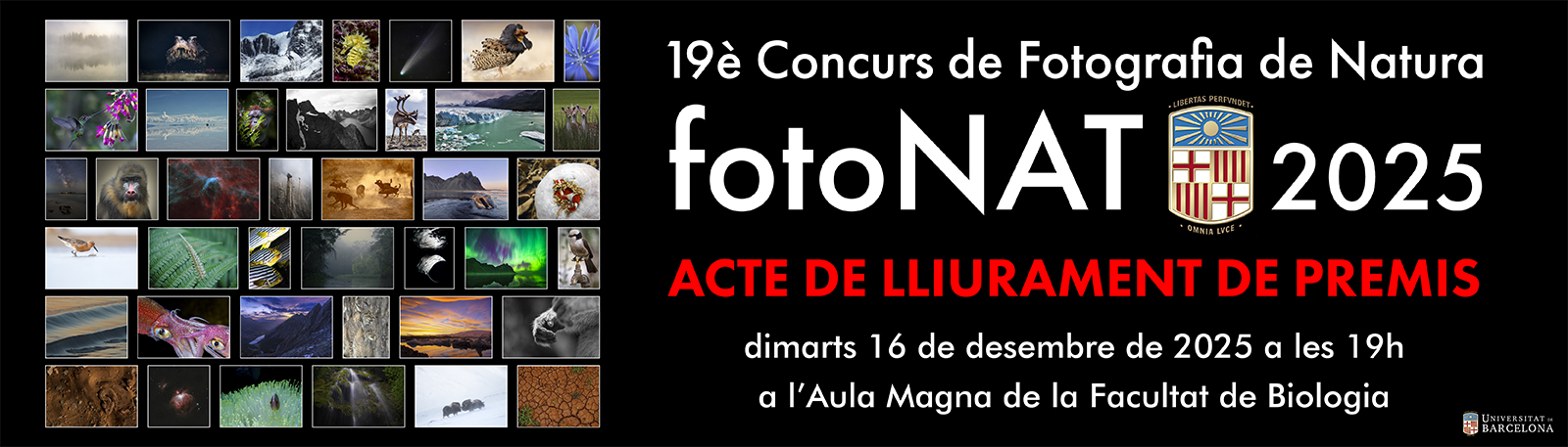 CONVOCATORIA EN CURSO