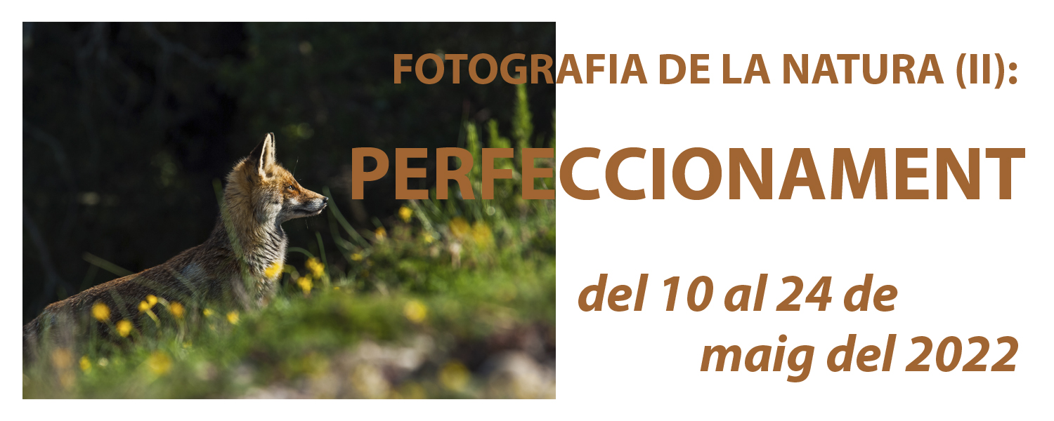 Curso de Fotografía de la Naturaleza (II): Perfeccionamiento - Mayo de 2022
