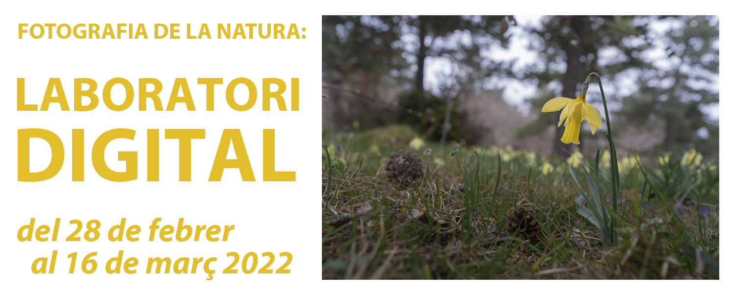 Curso de Fotografía de la Naturaleza: Laboratorio Digital - Marzo de 2022