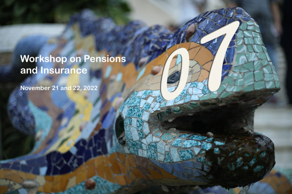 Workshop on Pensions & Insurance
