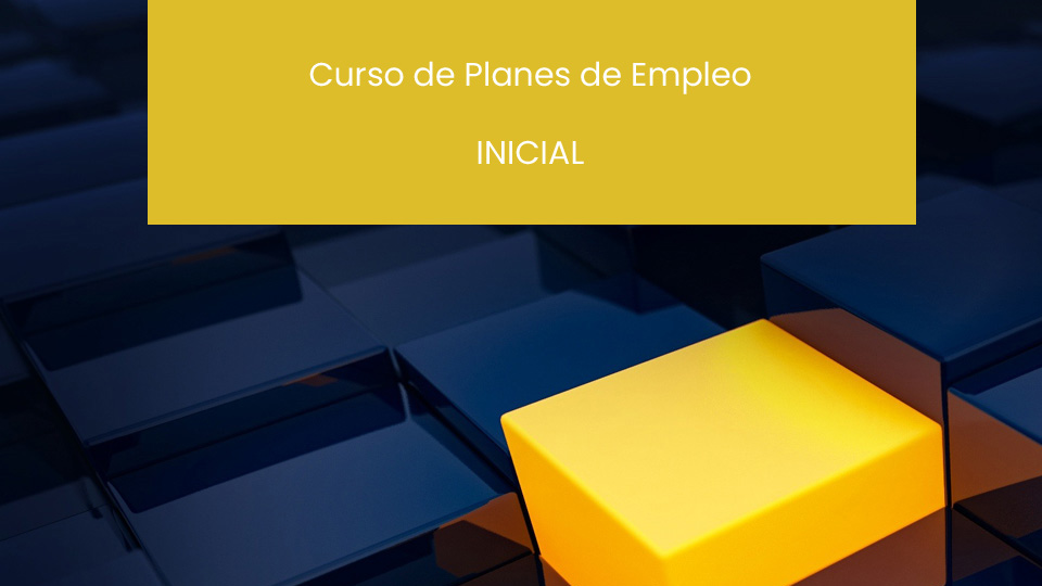 Curso de Planes de Empleo Nivel INICIAL