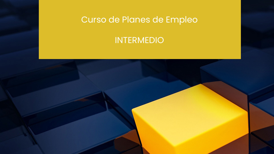 Curso de Planes de Empleo Nivel INTERMEDIO