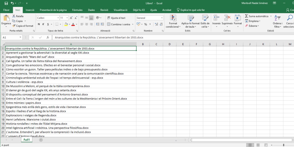 Resultat d’enganxar la llista de noms en un full d’Excel