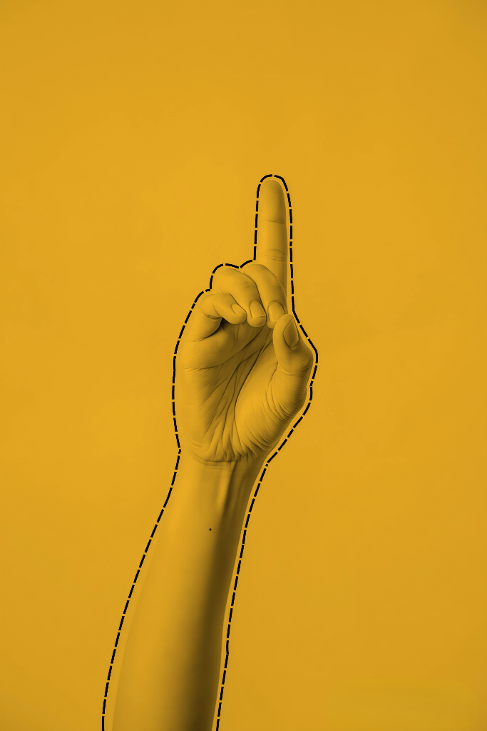 DICCIONARIS · Quins recursos tinc?