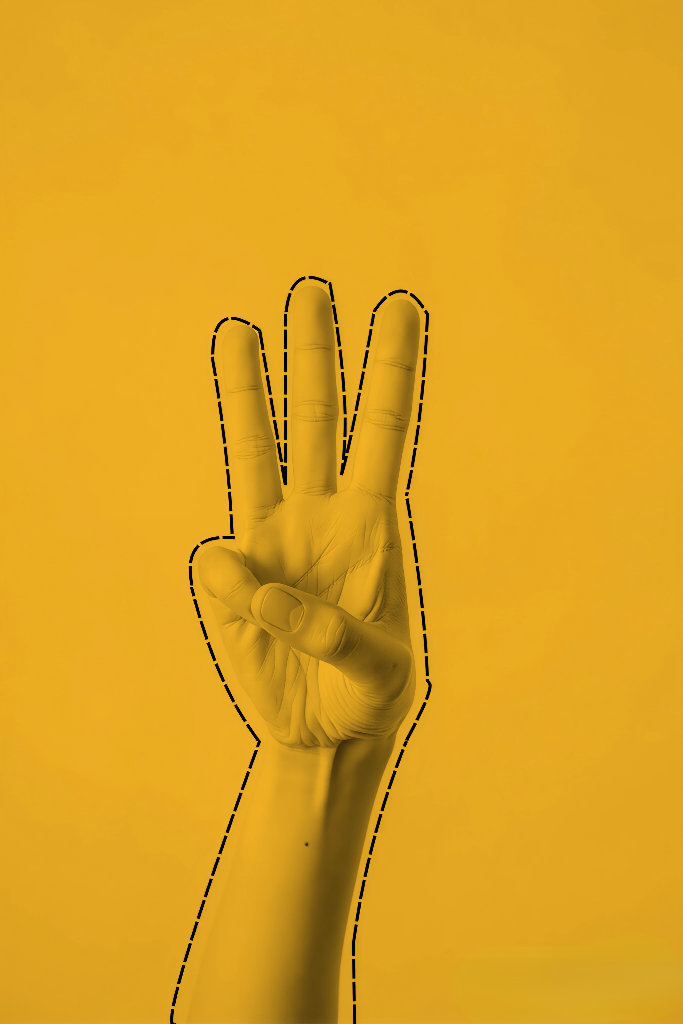 WEB · Què trobo als mitjans?