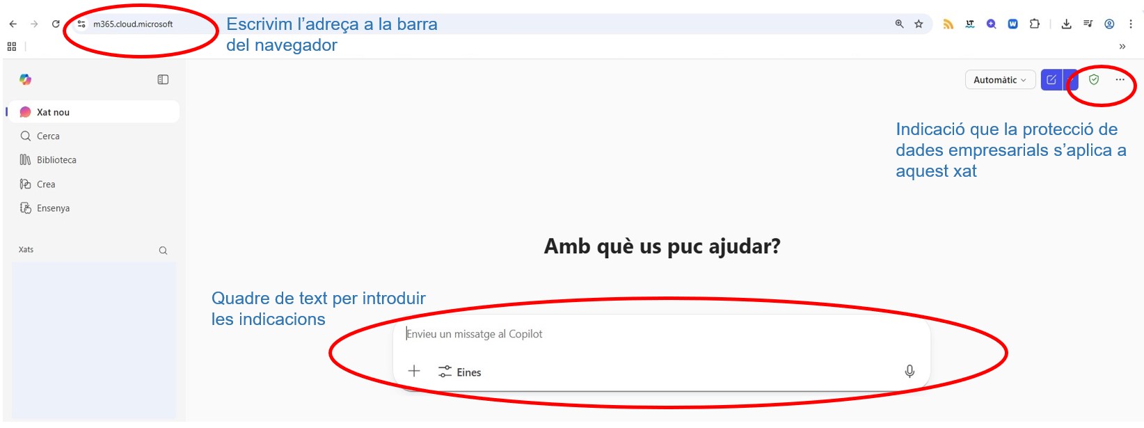 Accés al Copilot mitjançant el navegador